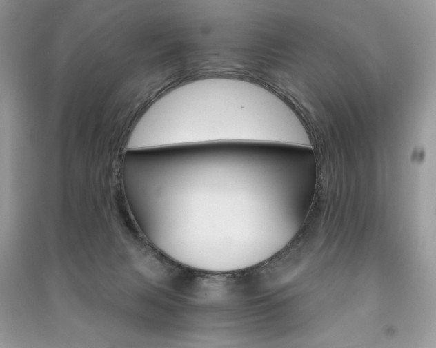 X0000091180079200708091055