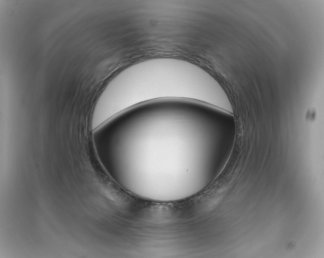 X0000091180080200708091055