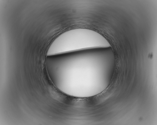 X0000091180082200708091055