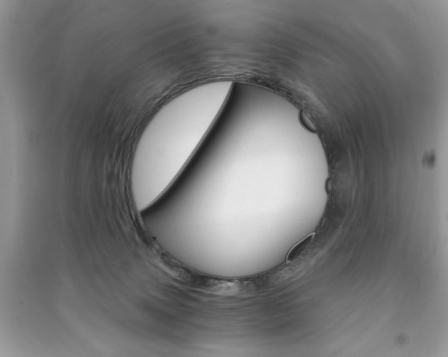 X0000091180083200708091055