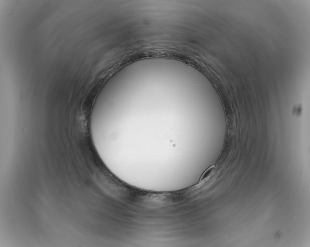 X0000091180086200708091055