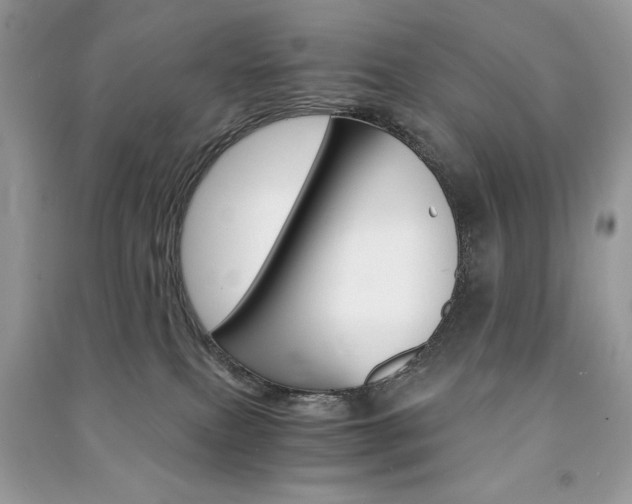 X0000091180087200708091055