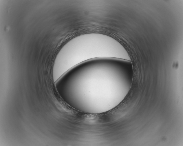 X0000091180088200708091055