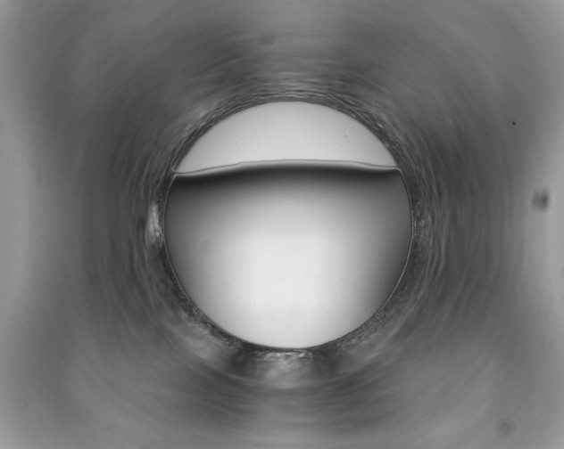 X0000091180089200708091055