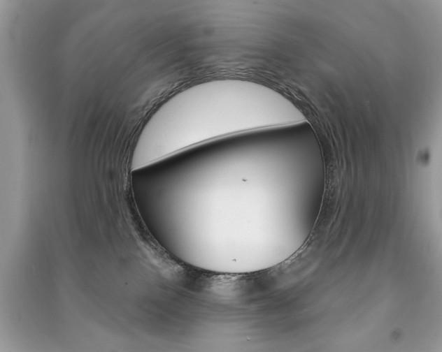 X0000091180090200708091055