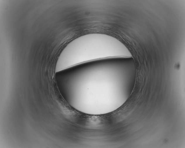 X0000091180091200708091055