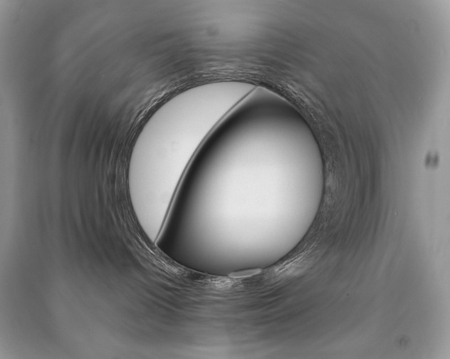 X0000091180096200708091055