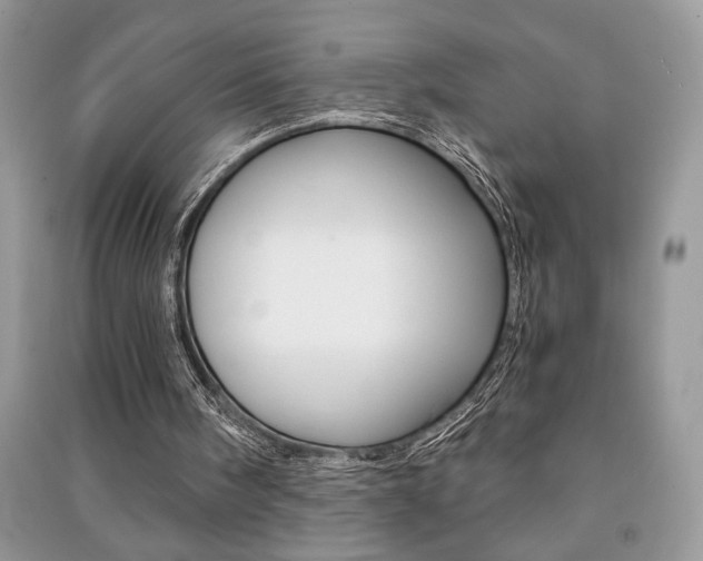 X0000091180098200708091055