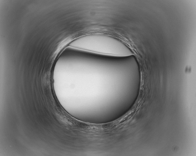 X0000091180099200708091055