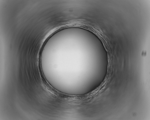 X0000091180100200708091055