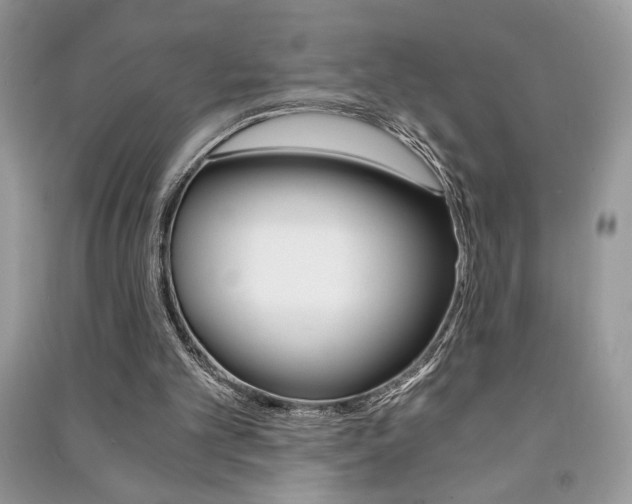X0000091180101200708091055