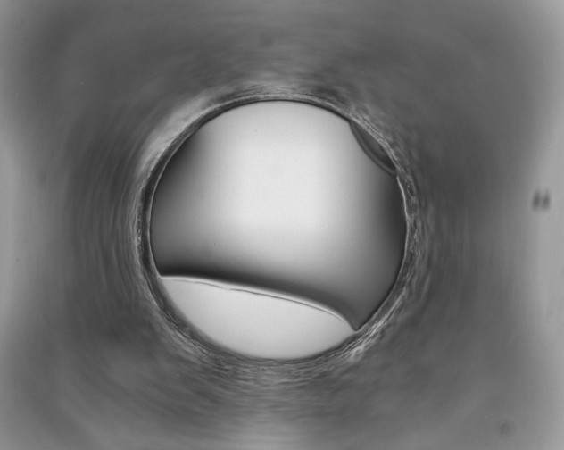 X0000091180103200708091055