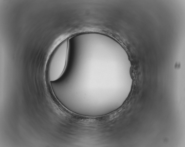 X0000091180104200708091055