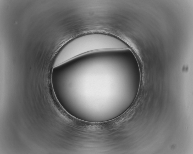 X0000091180105200708091055