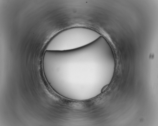 X0000091180106200708091055