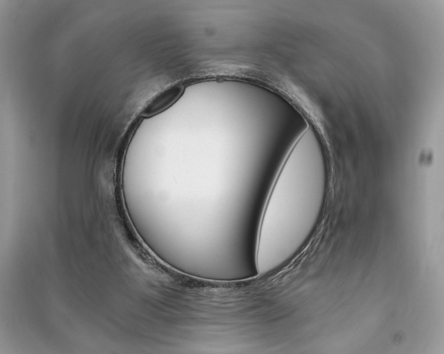 X0000091180107200708091055