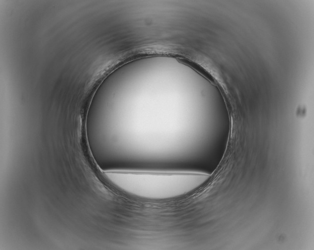 X0000091180109200708091054