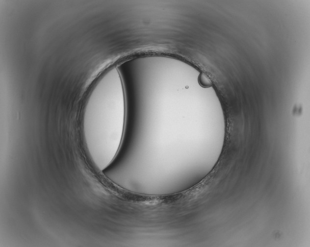 X0000091180112200708091054