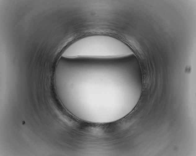 X0000091180120200708091054