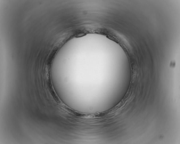 X0000091180121200708091054