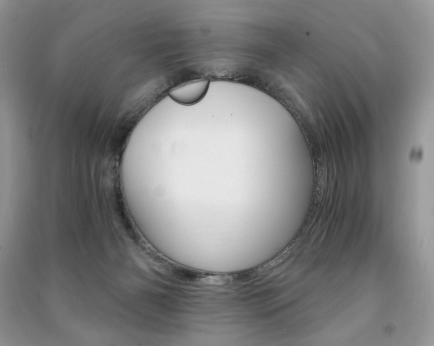 X0000091180126200708091054