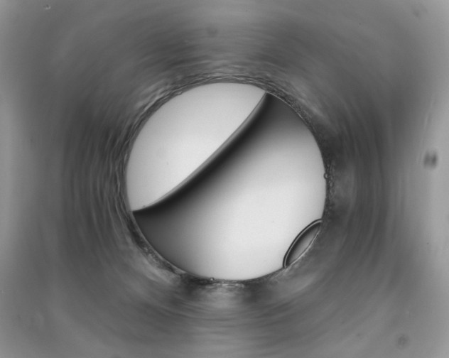 X0000091180128200708091054