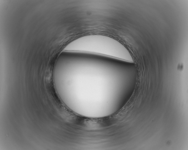 X0000091180129200708091054