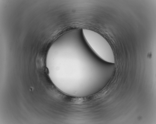 X0000091180131200708091054