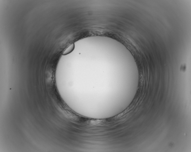 X0000091180134200708091054