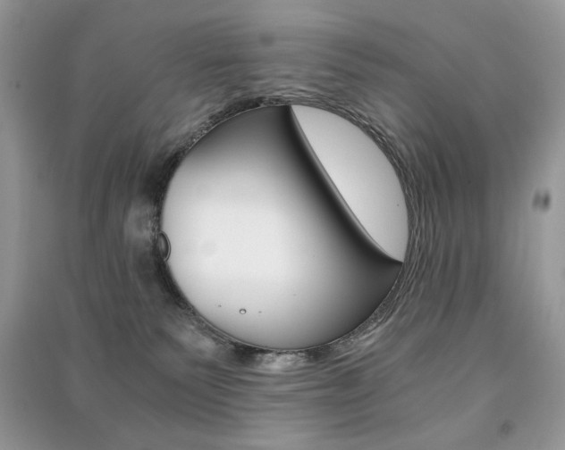 X0000091180135200708091054