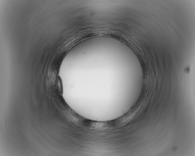 X0000091180139200708091054