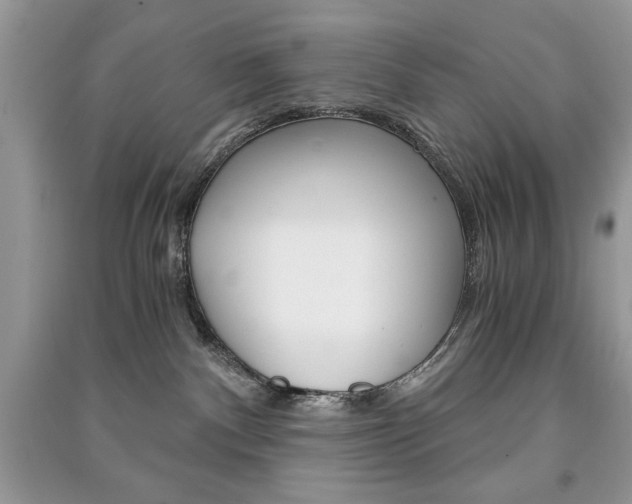 X0000091180140200708091054