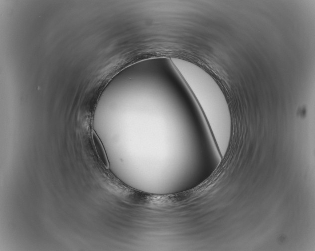X0000091180141200708091054