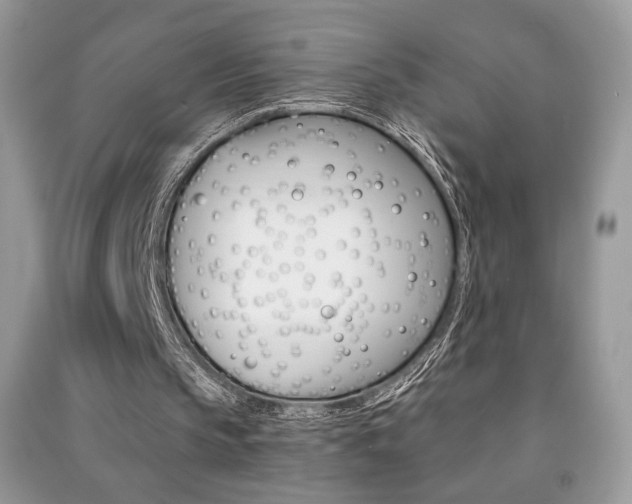 X0000091180145200708091053