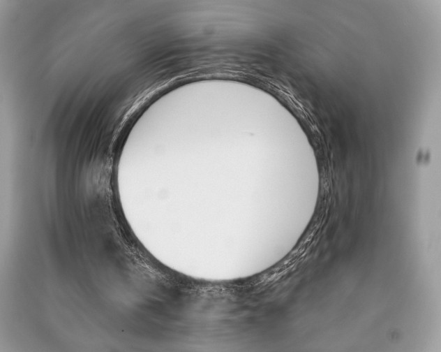X0000091180146200708091053