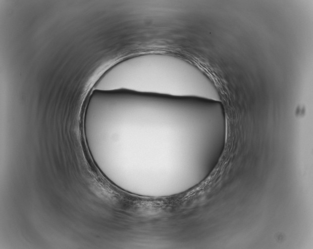 X0000091180147200708091053