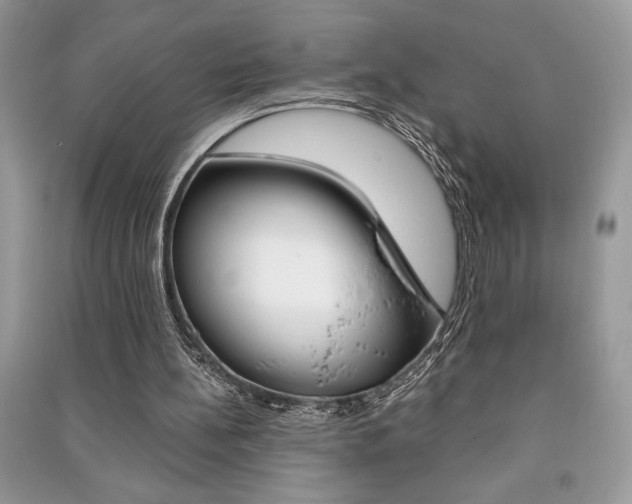 X0000091180148200708091053