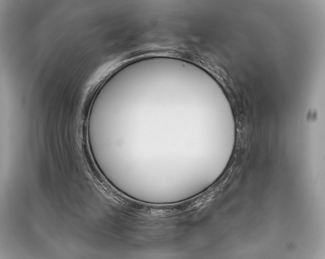 X0000091180149200708091053