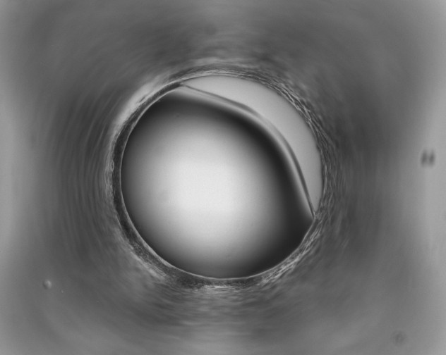 X0000091180150200708091053