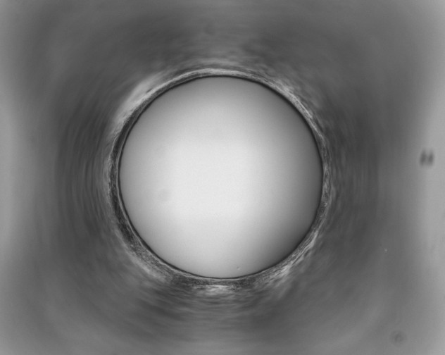 X0000091180151200708091053