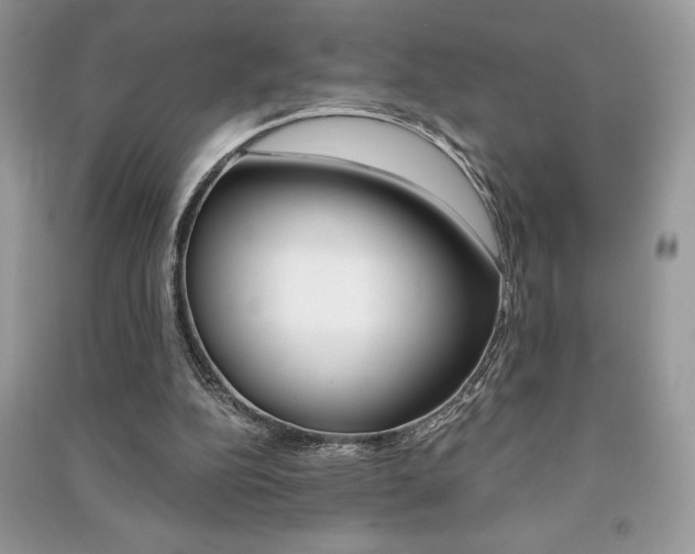 X0000091180152200708091053