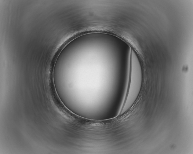 X0000091180156200708091053