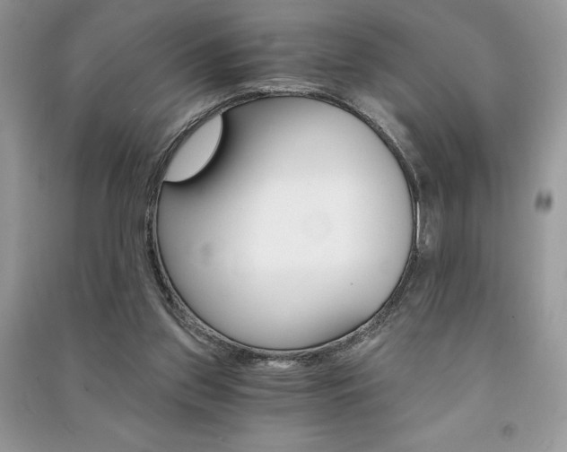 X0000091180157200708091053