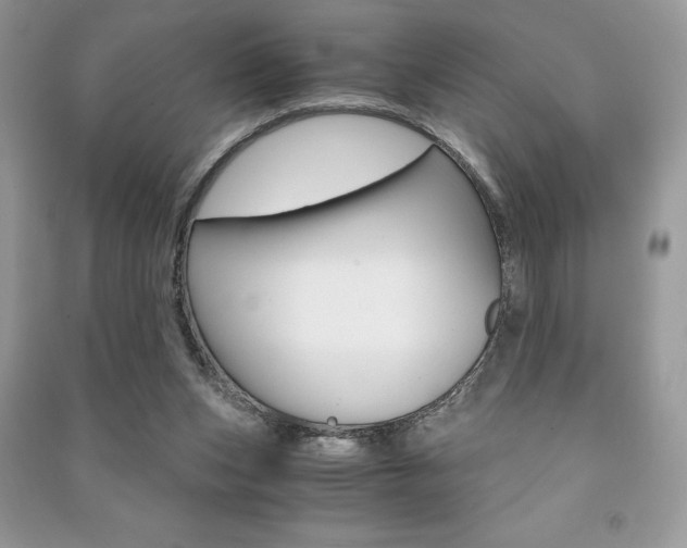 X0000091180159200708091053