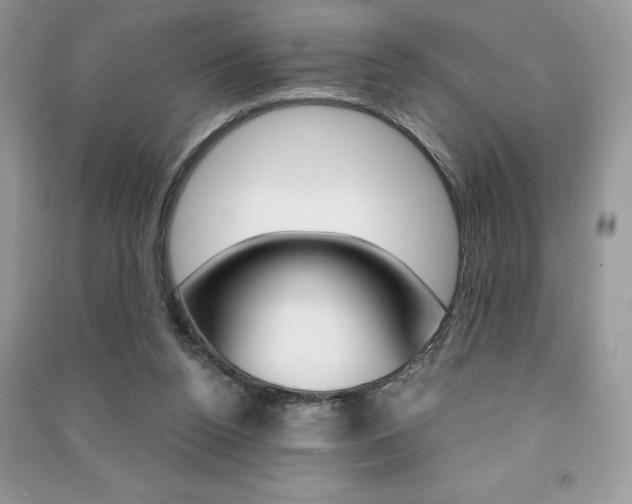 X0000091180160200708091053