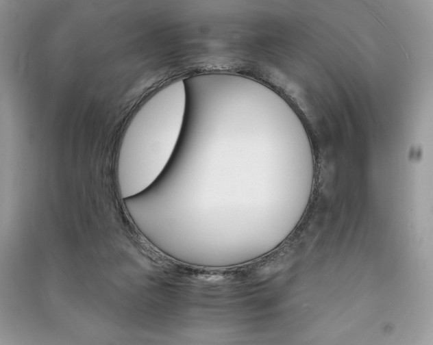 X0000091180161200708091053