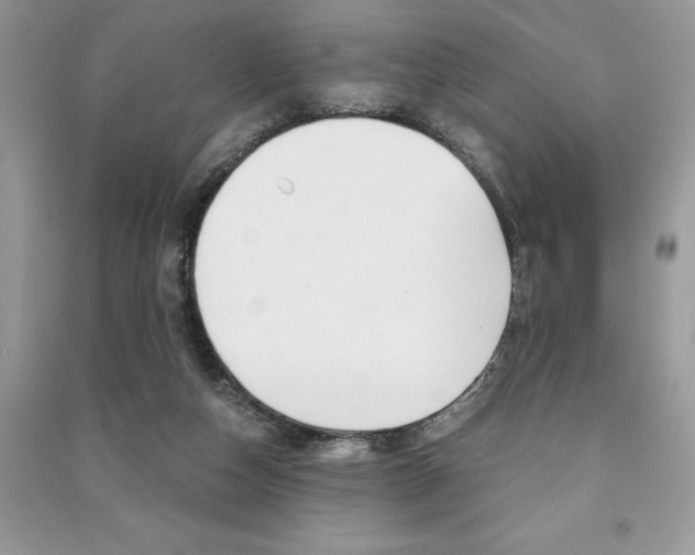 X0000091180162200708091053