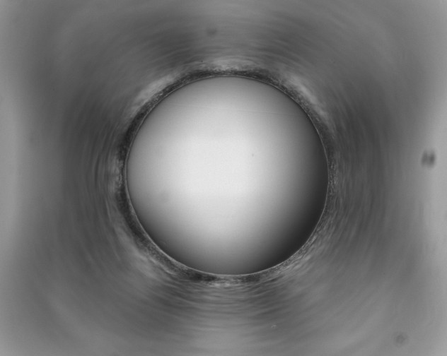 X0000091180164200708091053
