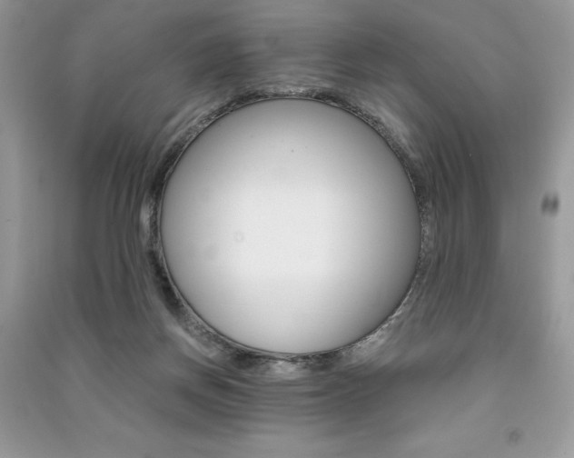 X0000091180166200708091053