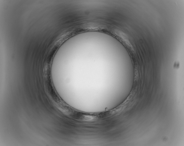 X0000091180167200708091053
